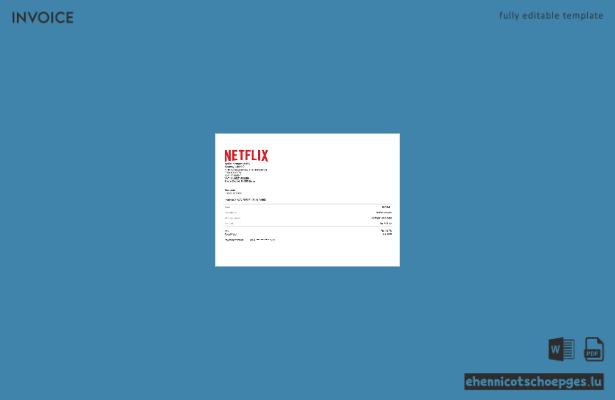 Beispielrechnung von Netflix USA (Vorschau)